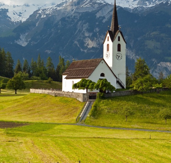 怎么做粉象生活的代理
