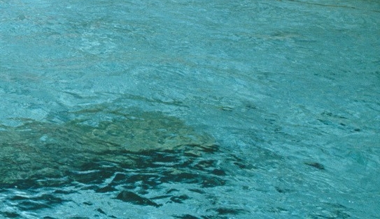 粉象生活为什么要升级vip