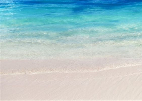 温州猪脏粉加盟费用