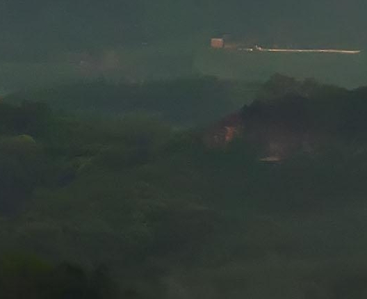 吉林品质粉象生活怎么样