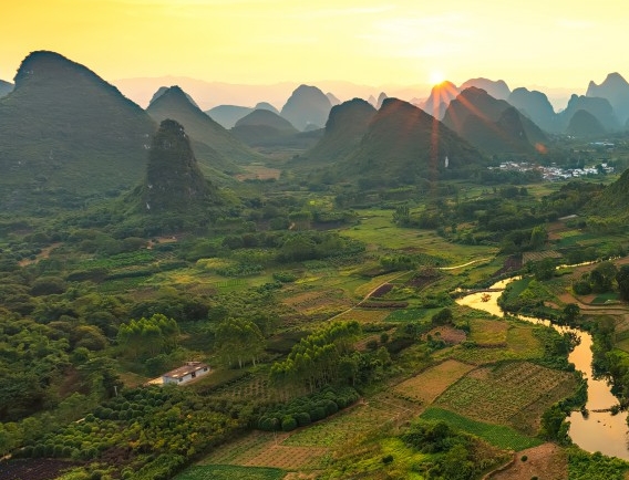 安徽一站式粉象生活是什么