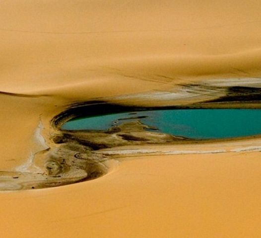 自营和粉象生活