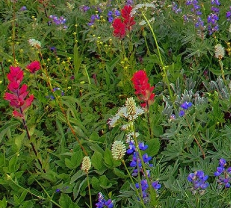 鹤壁粉象生活软件
