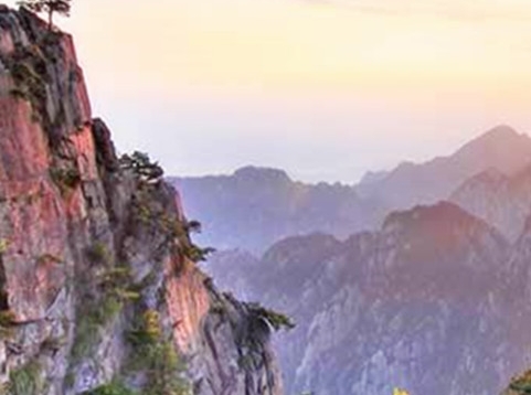 粉象生活怎么赚钱的