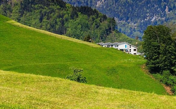 粉象生活邀请码