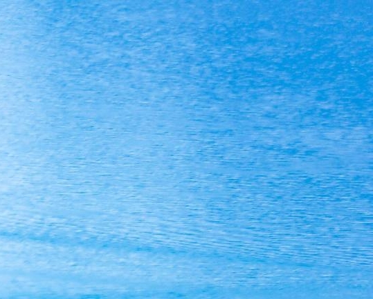 滁州粉象生活代理