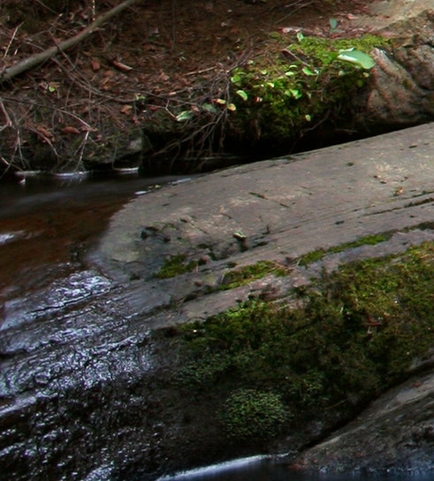 为什么成为粉象vip