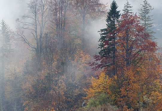 粉象生活怎么赚钱