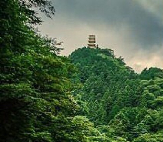 粉象生活视频素材