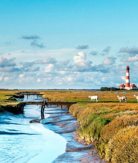 粉象生活推广引流软件