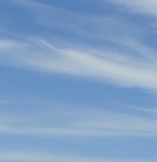 做粉象生活兼职