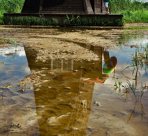 浙江口碑粉象生活是什么