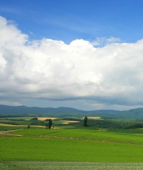 粉象生活要交钱吗