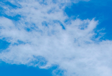 成都粉象生活代理