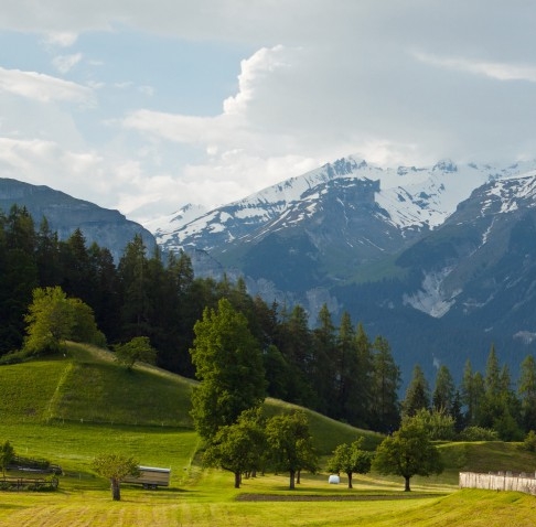 无锡粉象生活客服