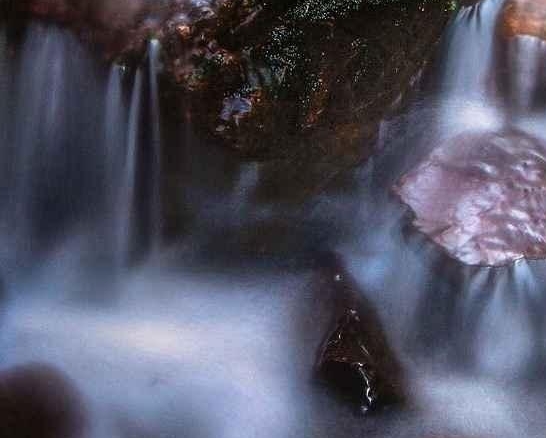 粉象生活晒收入是不是真的