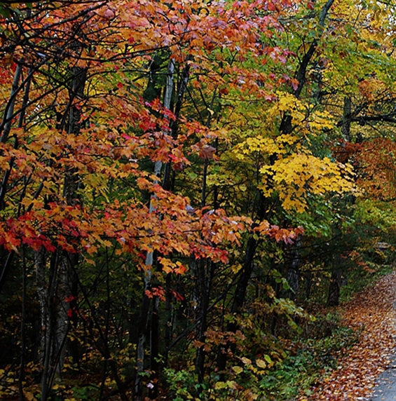 粉象平台靠谱吗