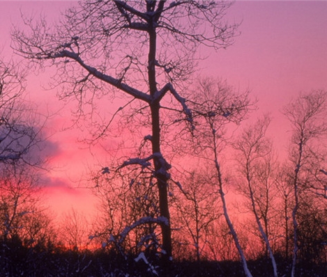 五象一站式生活购物中心