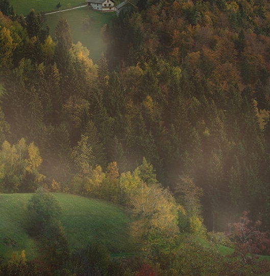 怎么在粉象生活卖东西