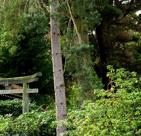 粉象生活瓜分奖金