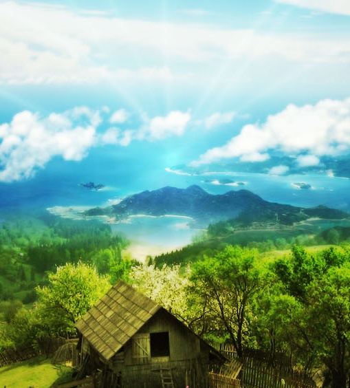 粉象生活推广序言