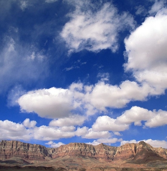 粉象生活淘宝怎么授权不了