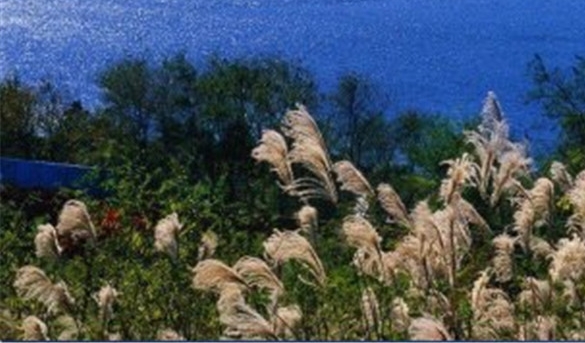 粉象生活怎么联系