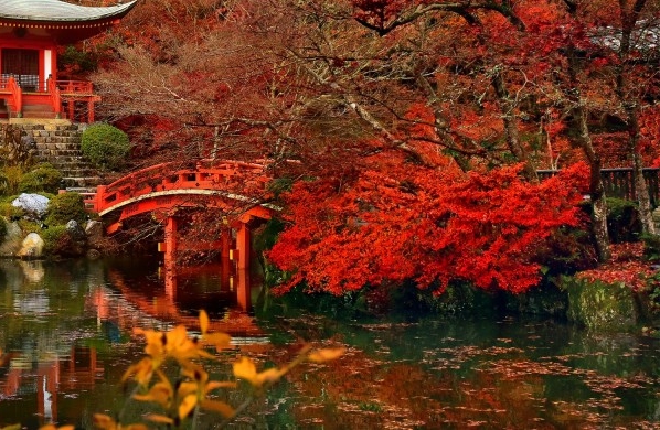 粉象生活邀请码