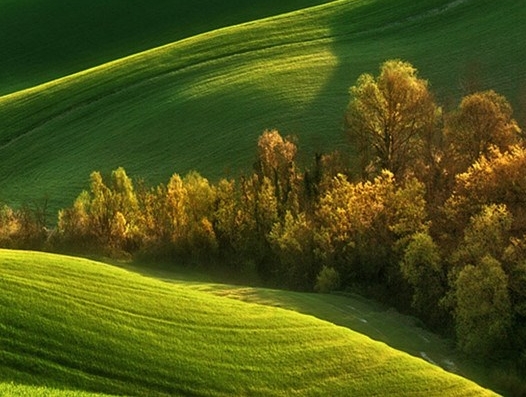 下载粉象生活app