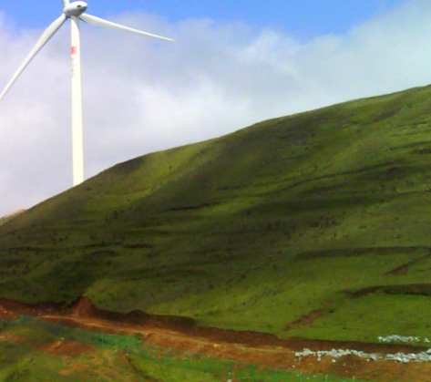 临沂粉象生活代理