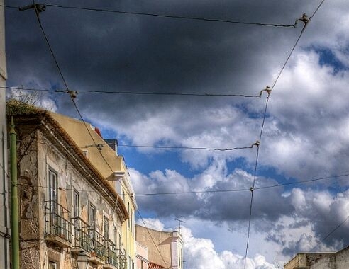 湛江粉象生活合伙人