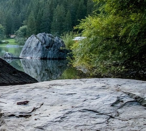 粉象生活邀请码
