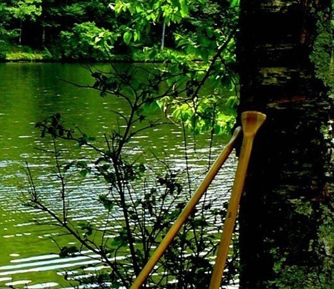 湖北创新粉象生活网站