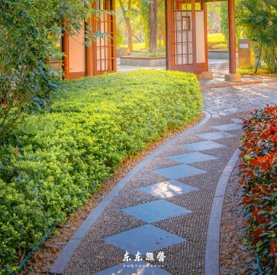 粉象生活荣誉下载