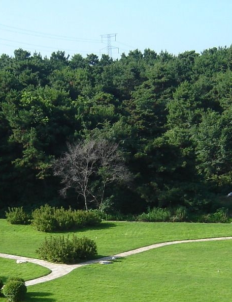 掌上生活的手表是正品吗