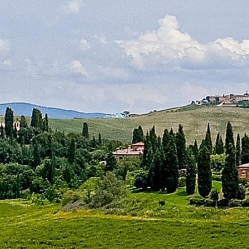 帽子哥粉象生活