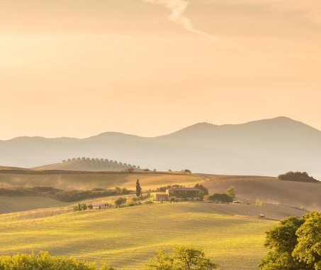 安徽口碑好的粉象生活软件