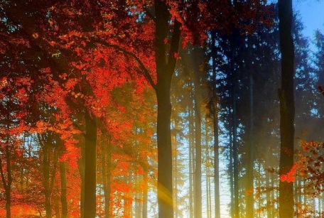 粉象生活交钱太坑人