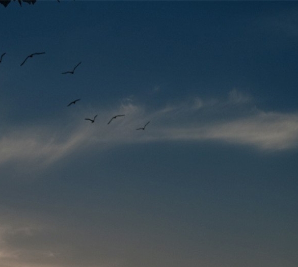 如何加入粉象生活推广