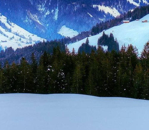 任丘粉象生活官方