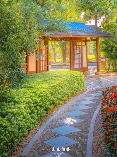 央视新闻粉象生活