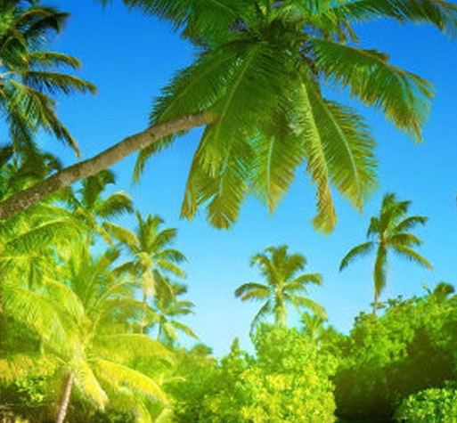 粉象生活分现金截图