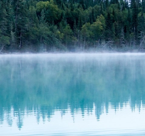 粉象生活怎么赚钱的