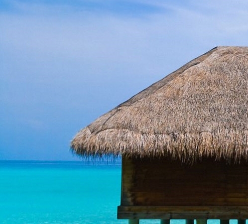 粉象生活可以赚钱吗