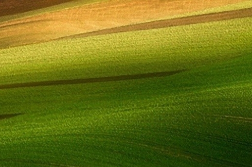 安徽运营粉象生活推广