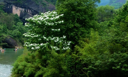 京粉购物金能返利吗