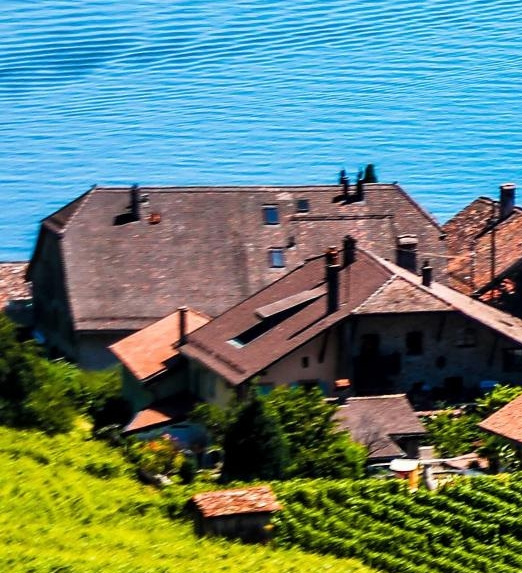 粉象生活真实收入