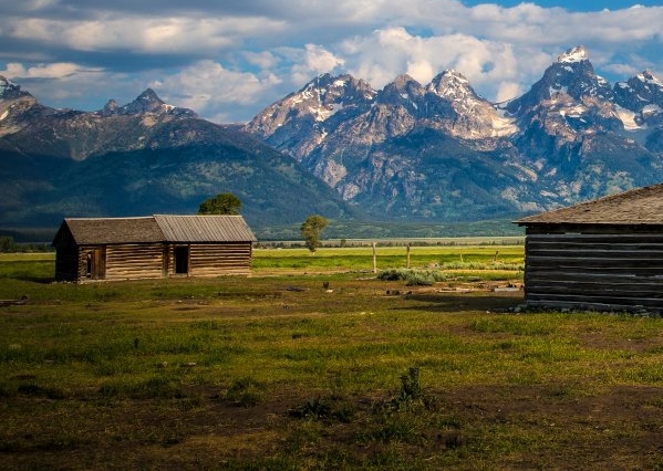 下载粉象生活app