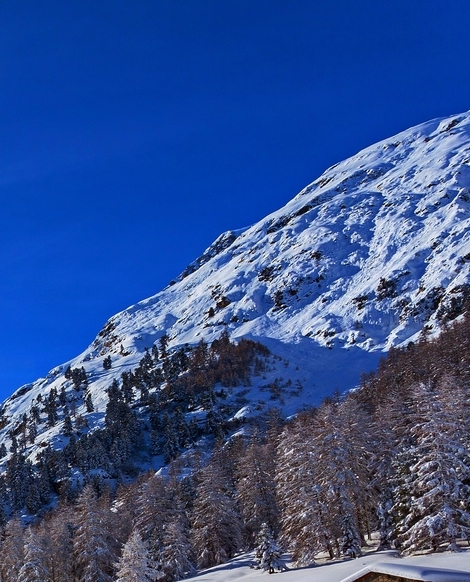 泰生活怎么交费