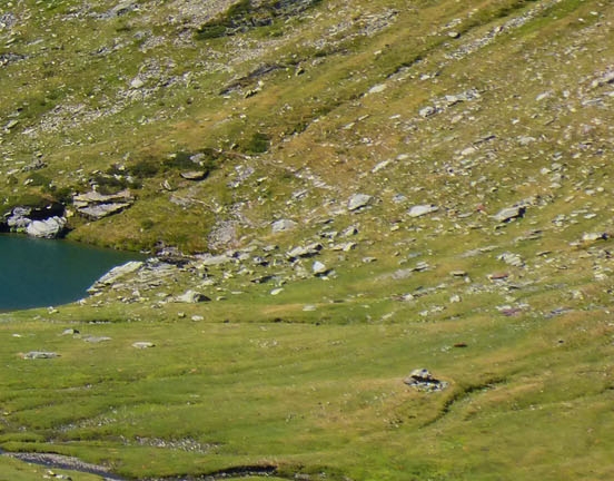 粉象生活赚钱教程